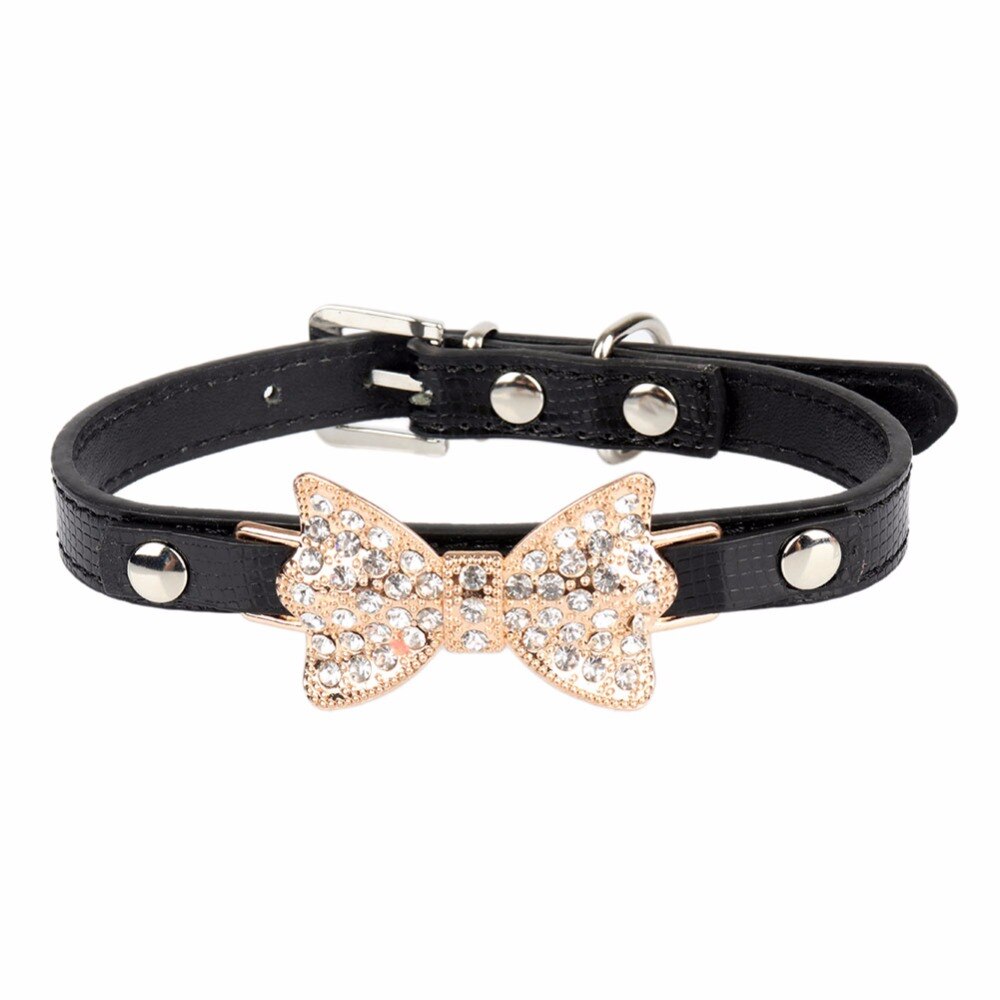 Éclat du Familier — Collier pour Chat à Strass