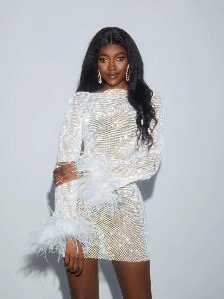 Robe Ange de Givre – Strass Scintillants & Plumes
