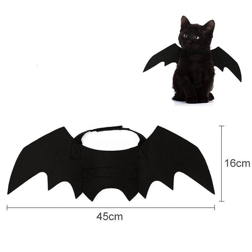 Les Ailes du Familier — Costume Chauve-Souris pour Chat