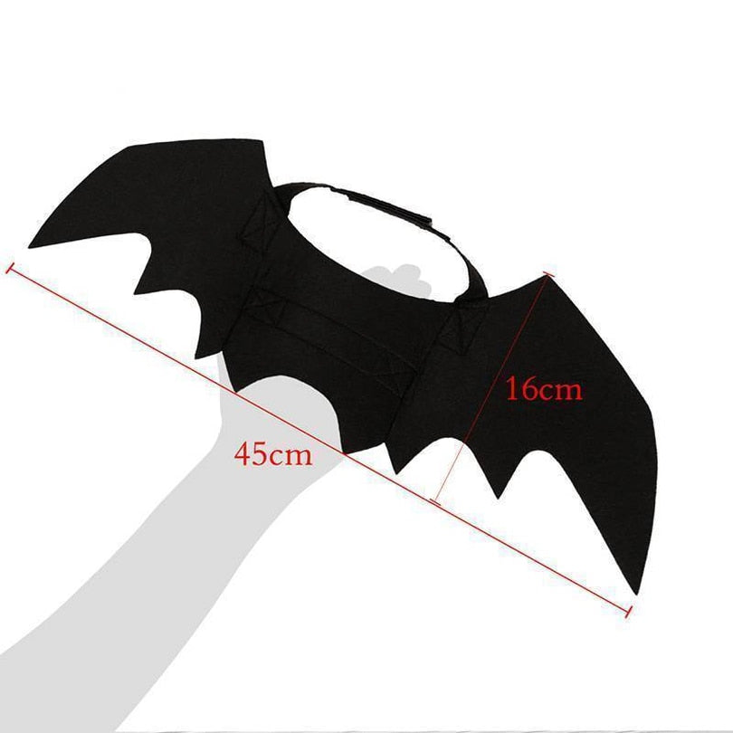 Les Ailes du Familier — Costume Chauve-Souris pour Chat