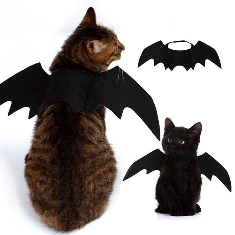 Les Ailes du Familier — Costume Chauve-Souris pour Chat