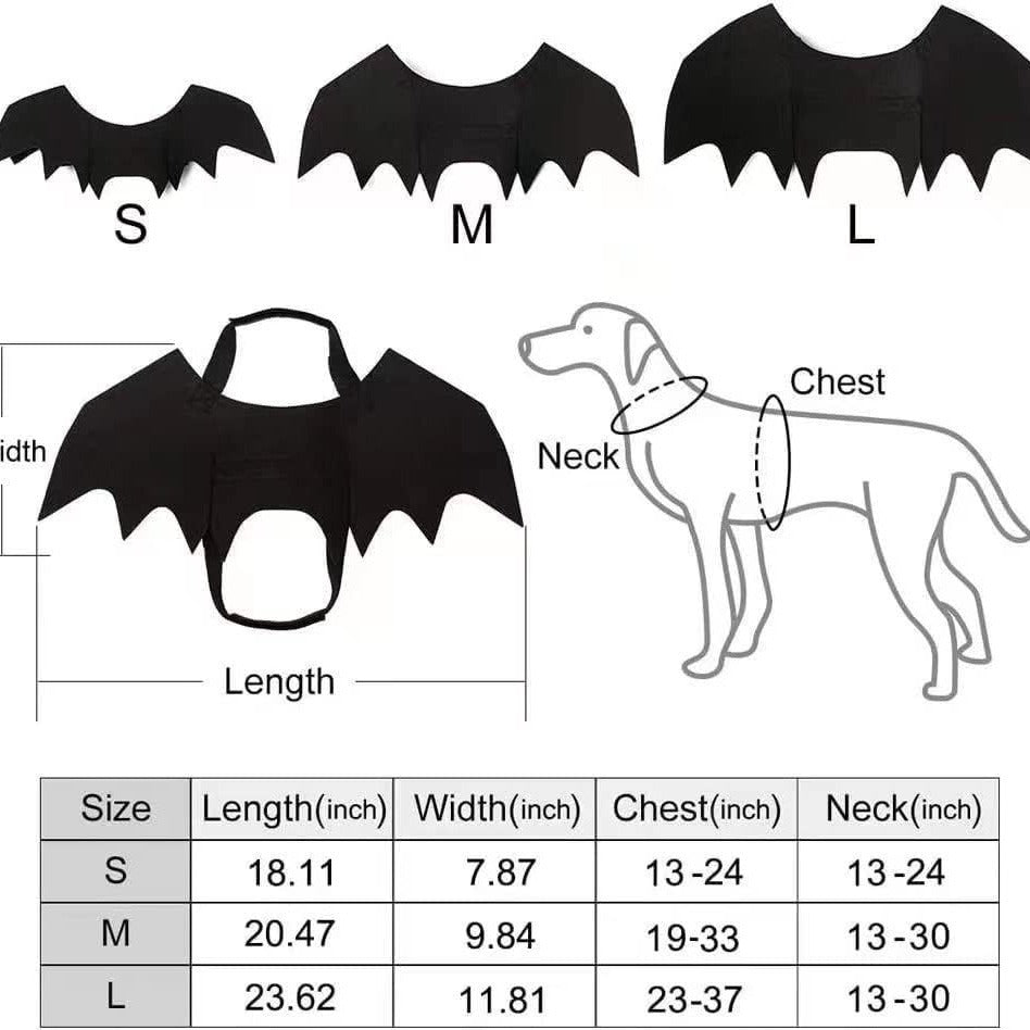 Familier de la Nuit — Ailes & Pattes d’Halloween