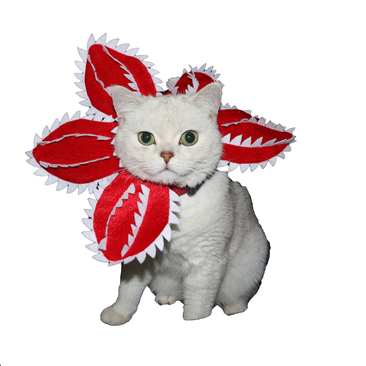 Coiffe Fleur Carnivore pour Chien & Chat – Costume Halloween