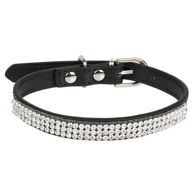 Éclat du Familier — Collier pour Chat à Strass
