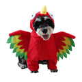 Perroquet des Ombres – Costume pour Chien & Chat