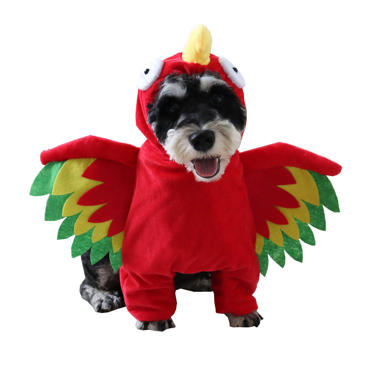 Perroquet des Ombres – Costume pour Chien & Chat