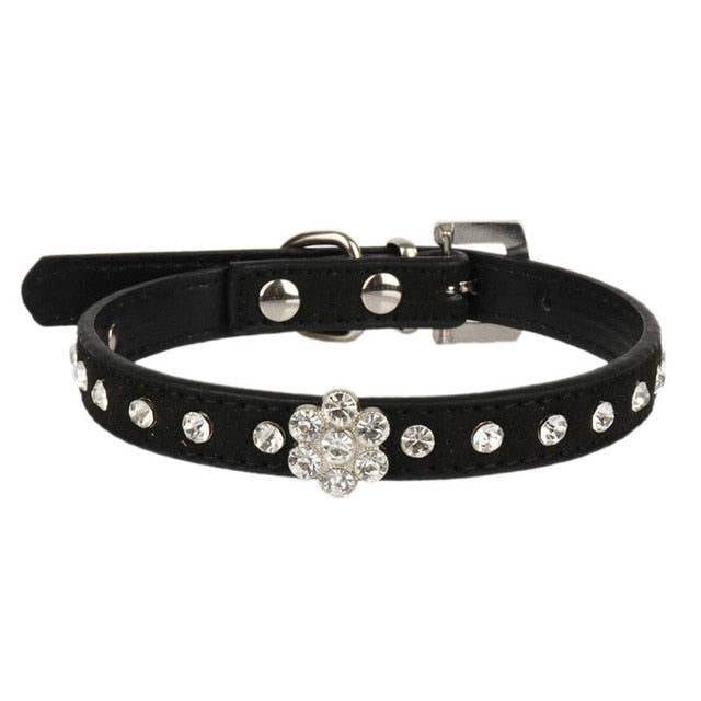 Éclat du Familier — Collier pour Chat à Strass