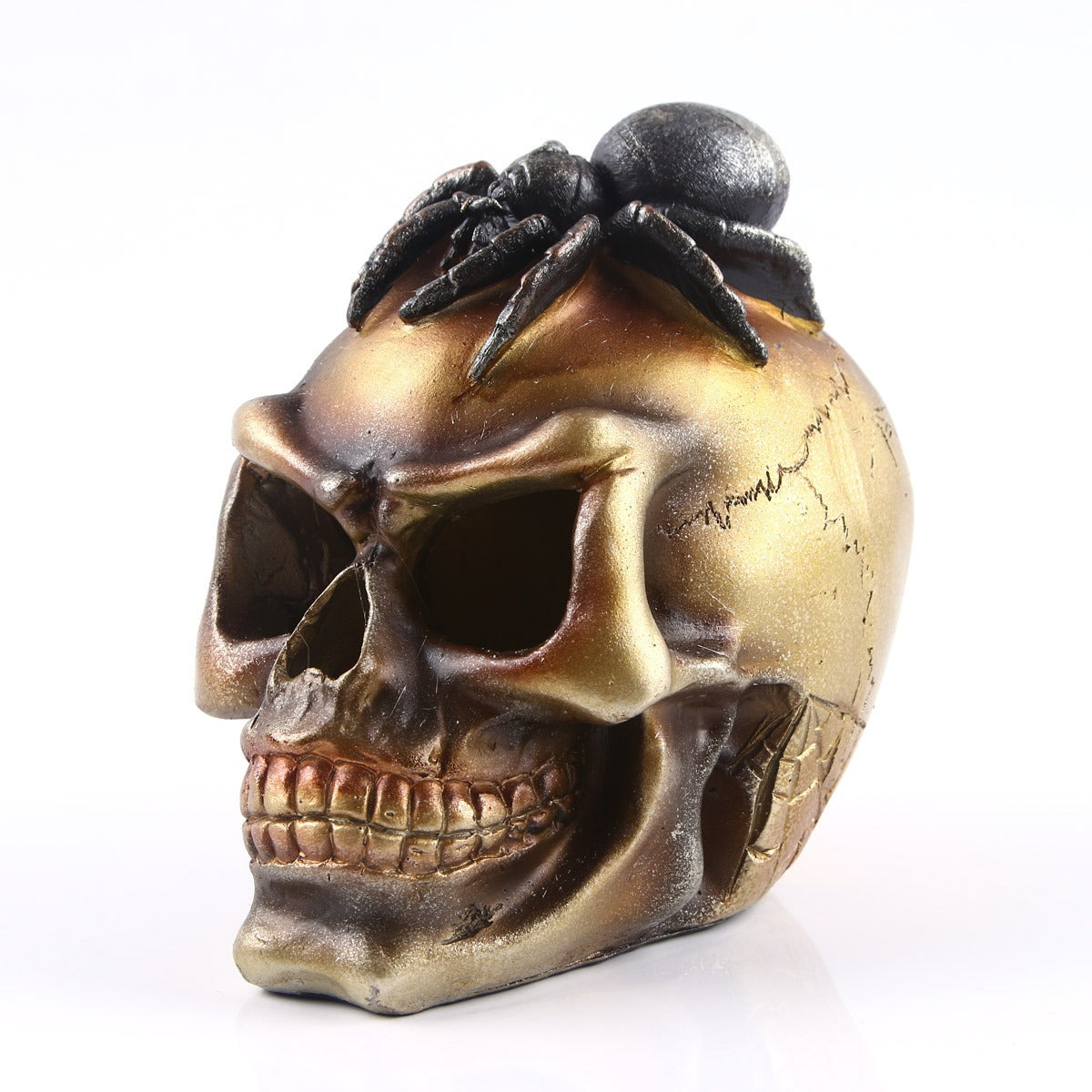 Le Crâne de l’Araignée de Salem — Décoration Gothique