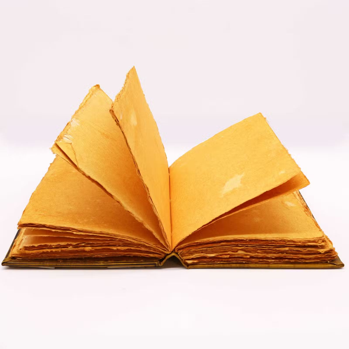 Le Grimoire de la Chouette des Sages