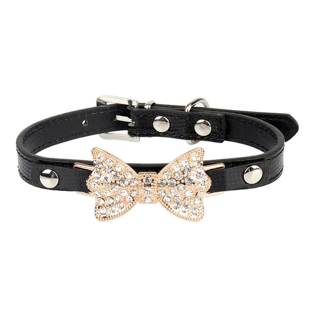 Éclat du Familier — Collier pour Chat à Strass