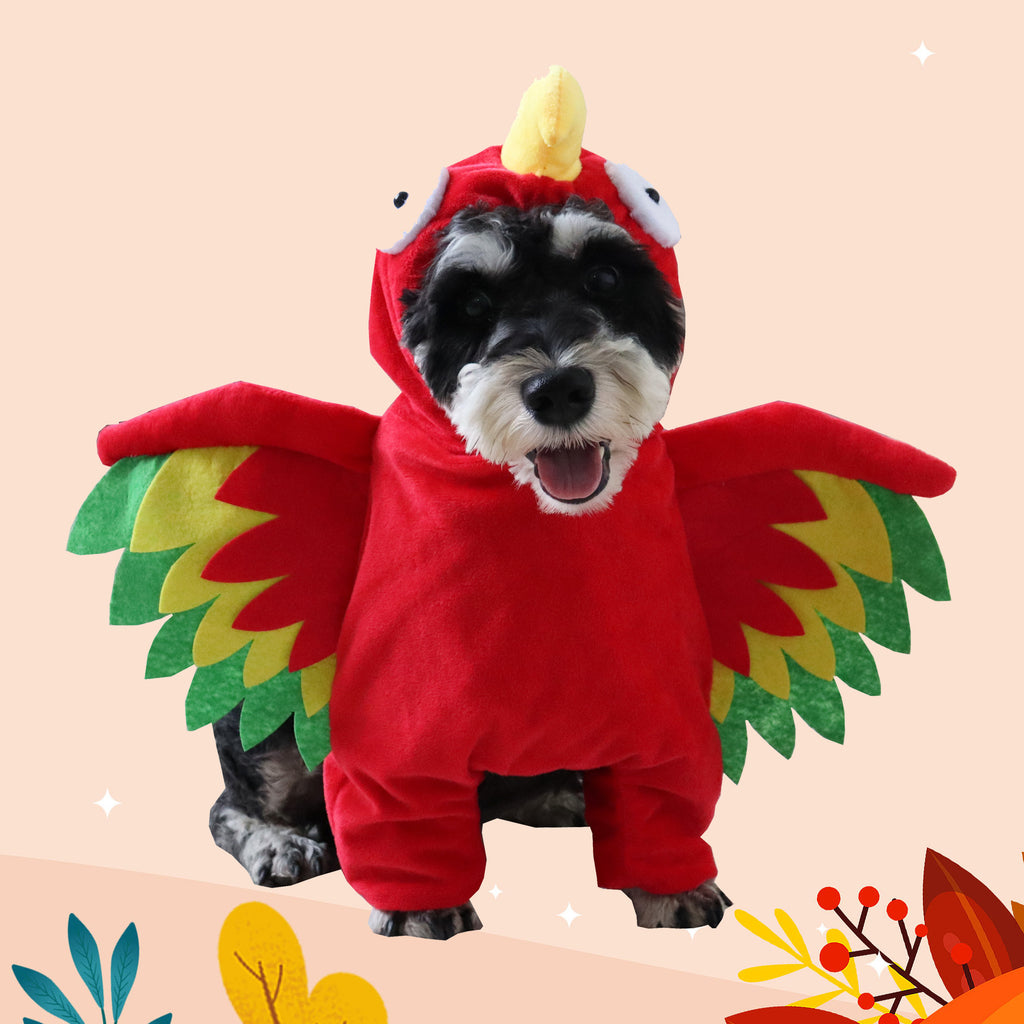 Perroquet des Ombres – Costume pour Chien & Chat