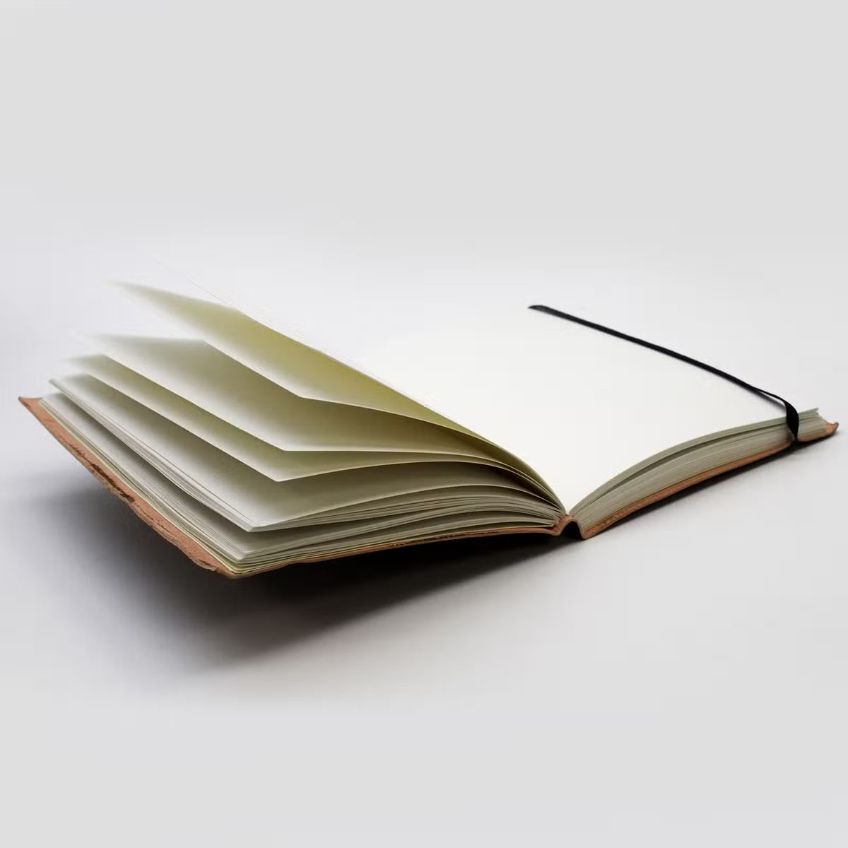Les Lignes du Destin – Carnet de Chiromancie