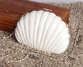 🐚 SAC « NACRE DES ABYSSES »