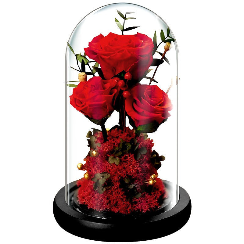 La Rose des Noces Éternelles — Rose sous Cloche