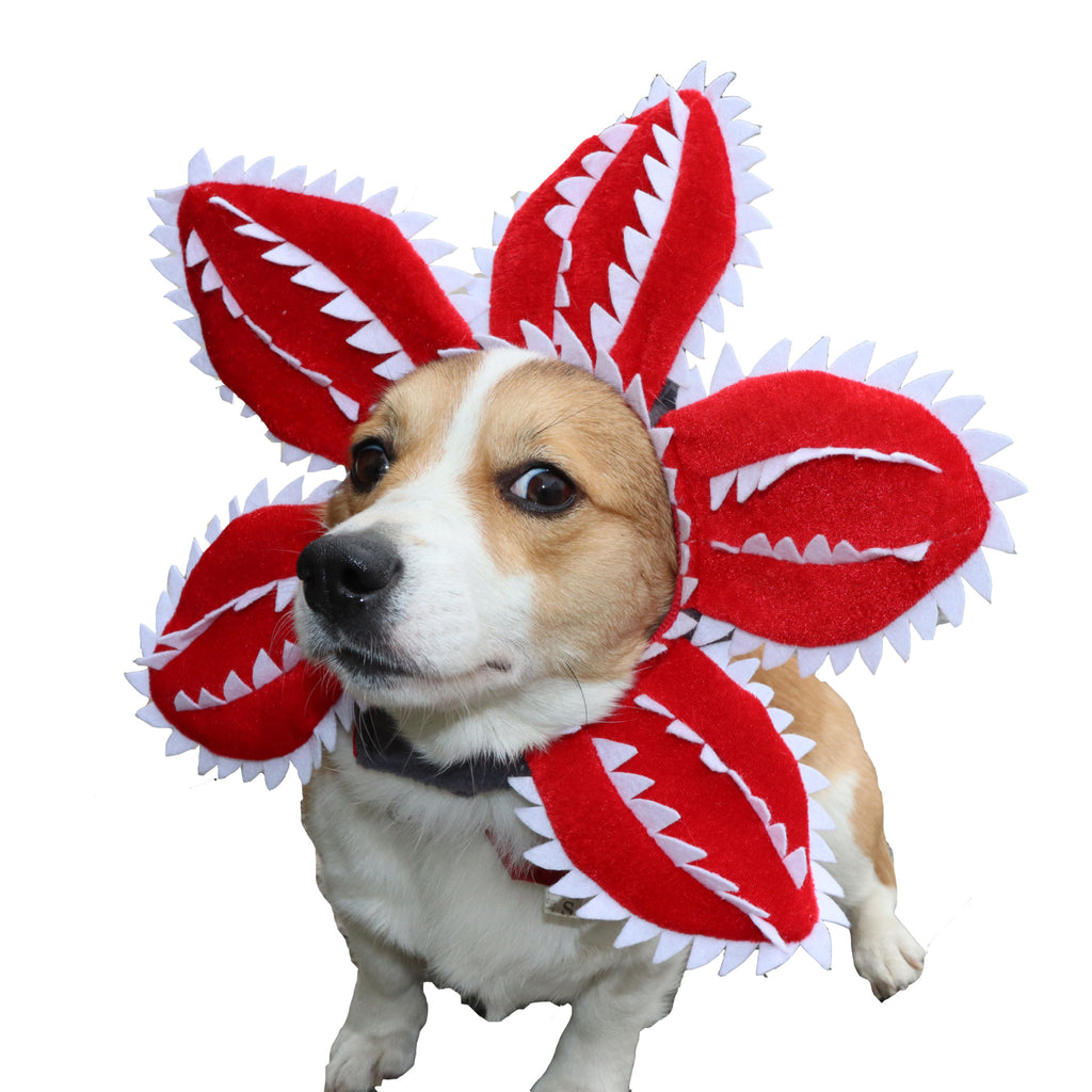 Coiffe Fleur Carnivore pour Chien & Chat – Costume Halloween