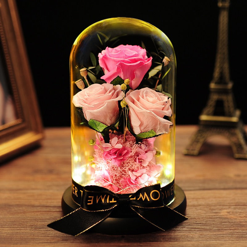 La Rose des Noces Éternelles — Rose sous Cloche