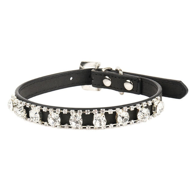 Éclat du Familier — Collier pour Chat à Strass
