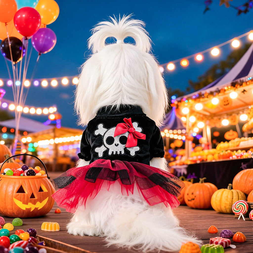 La Petite Pirate des Ombres — Robe Halloween pour Chien