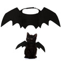 Les Ailes du Familier — Costume Chauve-Souris pour Chat
