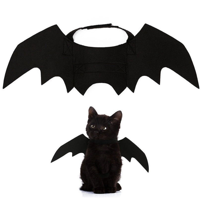 Les Ailes du Familier — Costume Chauve-Souris pour Chat