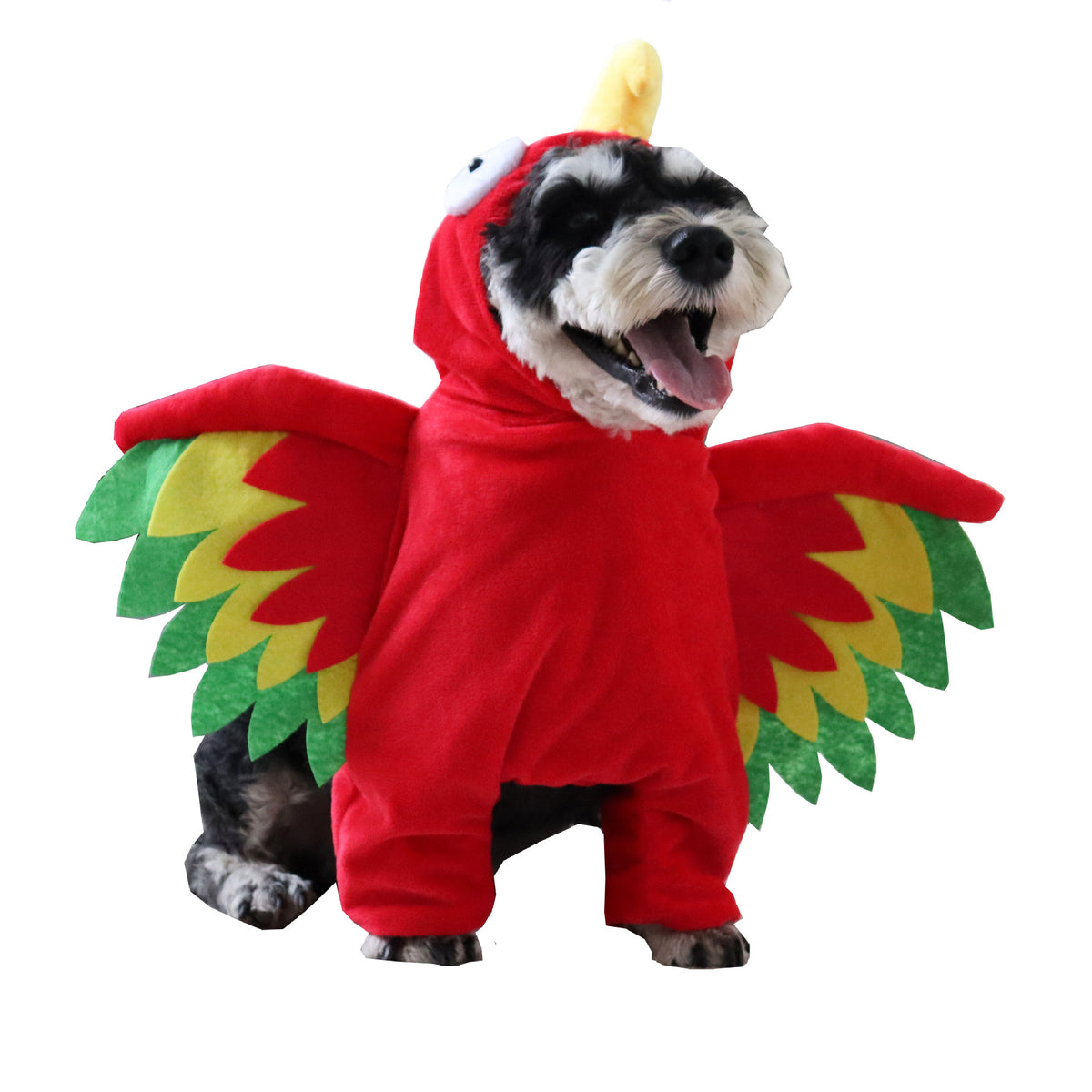 Perroquet des Ombres – Costume pour Chien & Chat
