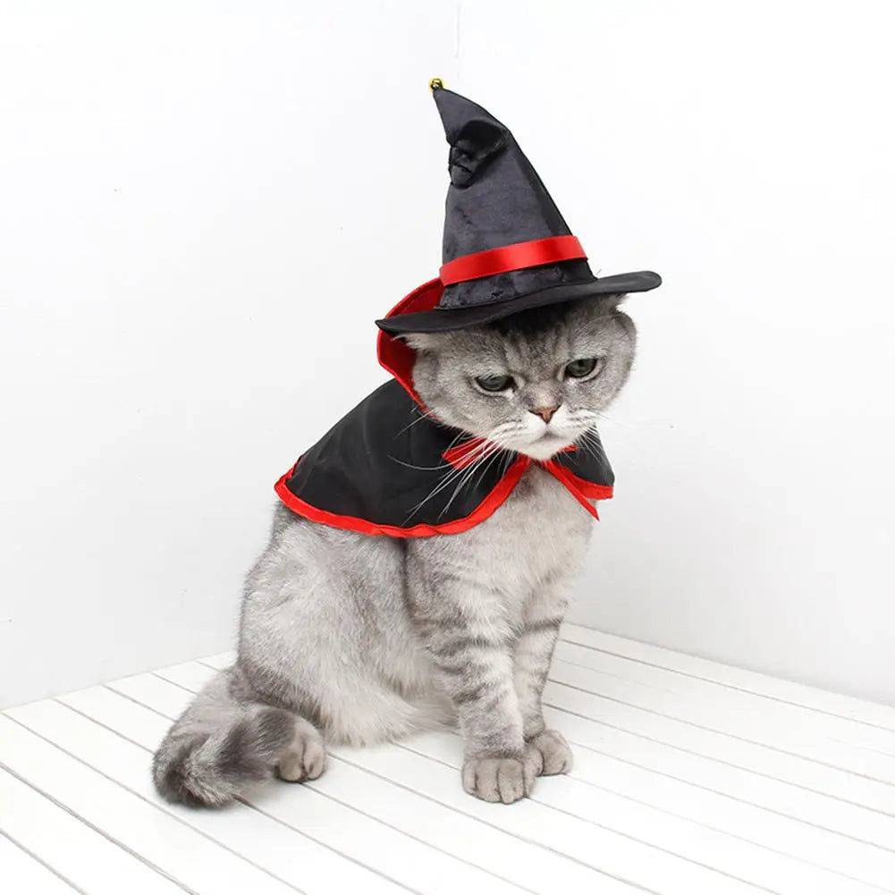 🐾 Le Petit Familier des Ombres — Cape & Chapeau de Sorcier