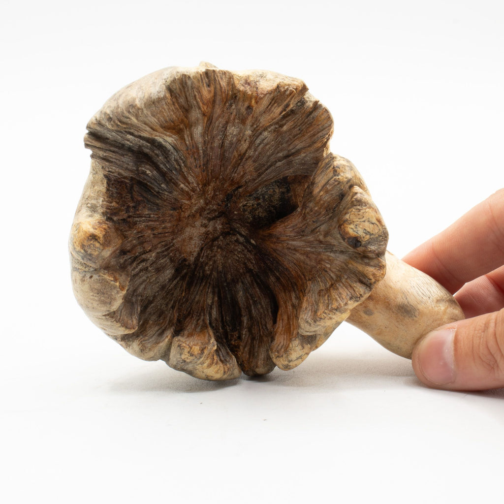 Le Gardien des Abysses – Pieuvre Sculptée en Bois Naturel