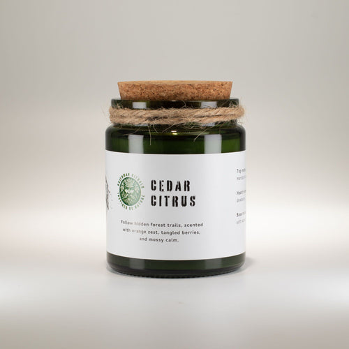 Bougie Forêt & Résine –