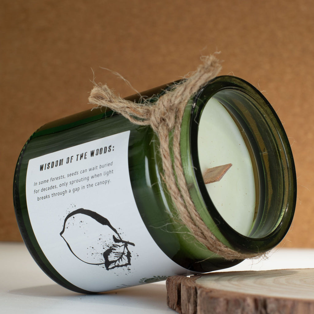 Bougie Forêt & Résine –